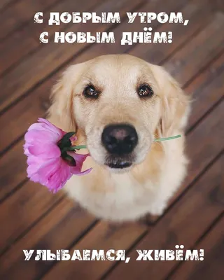 Открытки \"Доброе утро!\" (700+)