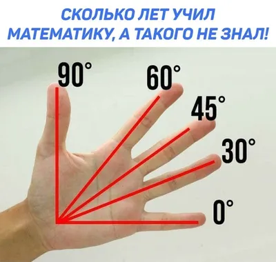 Фреза V1-0.3 3.175мм 30 градусов L33/D3.175 A