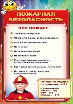 Безопасность ДД / Муниципальное бюджетное образовательное учреждение