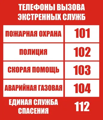 Плакат Da Vinci Надпись купить по выгодной цене в интернет-магазине OZON  (1156625397)