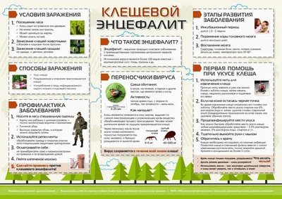 Материал для уголка безопасности