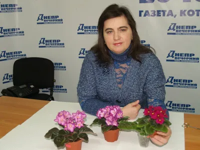 Как выращивать фиалки правильно - советы | РБК Украина