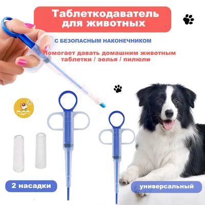 Как сделать внутривенный укол собаке? — ВетОстров