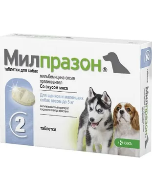 Эклампсия у собак
