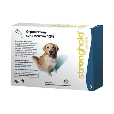 PRO PLAN ACTI PROTECT / Сухой корм ПРО ПЛАН для взрослых собак мелких и  карликовых пород с чувствительной кожей с лососем 3 кг купить в Москве по  низкой цене 2 142₽ | интернет-магазин ZooMag.ru