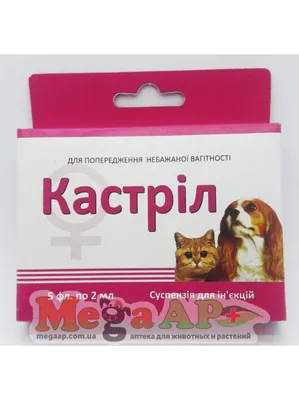 Уколы собакам (62 фото) - картинки sobakovod.club