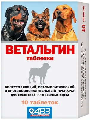 Аллергия у собак - что дать, как лечить, симптомы и признаки аллергии