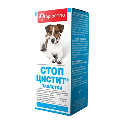 Как сделать укол коту или собаке?