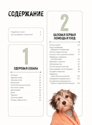 Стоп-цистит для Собак - Купить с Доставкой по Москве