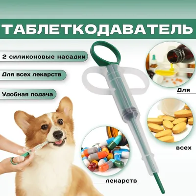 Сколько стоит сделать укол собаке на дому цена в Москве
