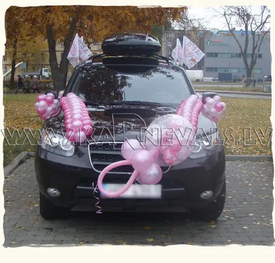 Купить Оформление машины на выписку SH-100012 в Алматы по низкой цене 13000  KZT в интернет магазине PapaShar