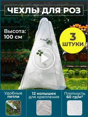 Укрытие роз на зиму на широте Подмосковья: экономим время и деньги -  Энциклопедия - Всё о цветах для Вашего сада