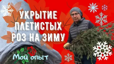 Укрытие для плетистой розы Зимний домик • ТД Прайм