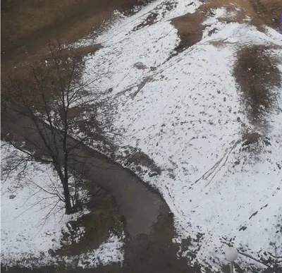 Укрытие плетистой розы на зиму - Все о саде и огороде | SVOISAD.RU