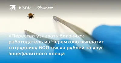 ИркСиб - Работодатель выплатит жителю Черемхово 600 тысяч рублей за укус  энцефалитного клеща