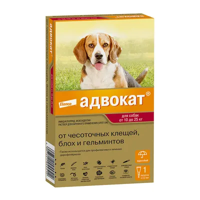 Купить Топ Дог Top Dog, антигельминтик для собак (250 мг. и 1000 мг. - 4  табл., 3000 мг. - 2 табл.) в интернет-магазине Zoomarket