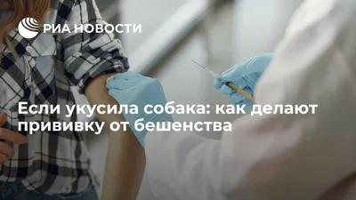 Укус собаки: истории из жизни, советы, новости, юмор и картинки — Горячее,  страница 12 | Пикабу