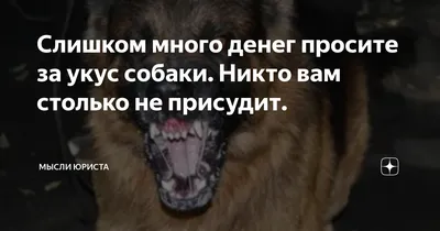 В Челнах нападение собаки на мужчину разделило горожан на два лагеря