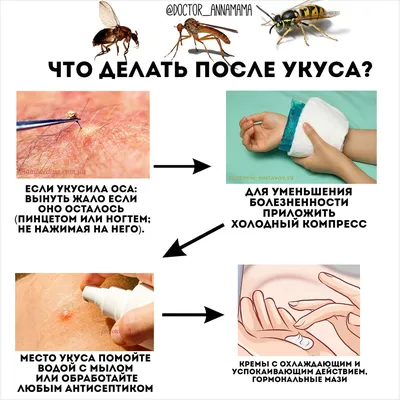 Как выглядят укусы постельных клопов на теле у человека ФОТО