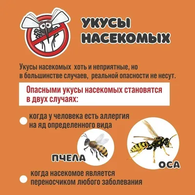 ᐉ Аллергия на укусы насекомых: причины, симптомы, диагностика, лечение,  профилактика