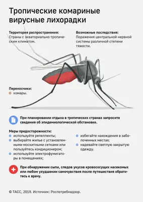 Укусы насекомых: что делать