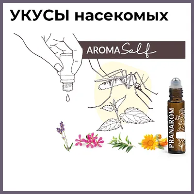 Укусы насекомых: как оказать первую помощь и когда обращаться к врачу —  ПРАЦА