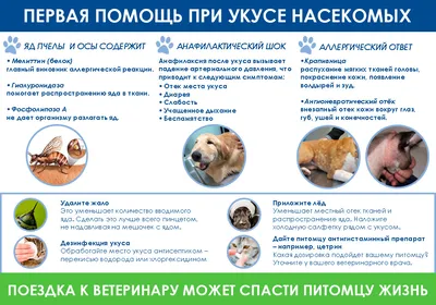 Энтомолог испытал на себе самые болезненные укусы насекомых и