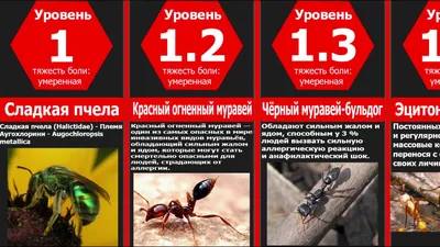 Аллергия на укусы насекомых: что нужно знать👇🏻 Лето — не только пора  отдыха, отпусков, бесконечных прогулок... | ВКонтакте