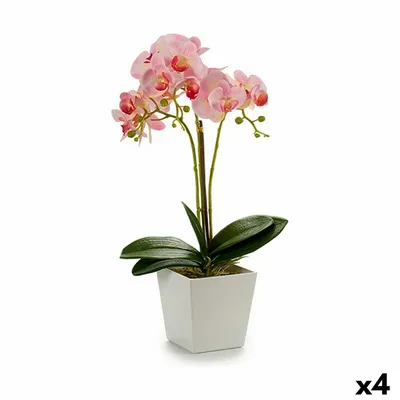 Маленький секрет большого\"Singolo\" или что скрывает от нас орхидея с одним  большим цветком | Цветочный~Джем | Дзен