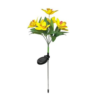 Орхидея фаленопсис 1 ветка в ассортименте купить по цене 499 грн | Украфлора