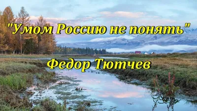 Книга Умом Россию не понять... - купить в Издательство «Эксмо», цена на  Мегамаркет