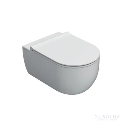 Безободковый унитаз VitrA Integra Round L-box 9004B003-7202 с толстой  дюропластовой крышкой микролифт, кнопка Матовый хром, купить в Москве, цена  в интернет-магазине Санталюкс.Ру