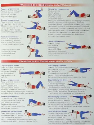 Картинки по запросу упражнения для растяжки спины | Упражнения, Тренировка  мышц живота, Планы тренировок
