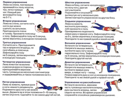 Упражнения с фитнес-резинкой — тренировка на все группы мышц в картинках |  Фитсевен | Дзен