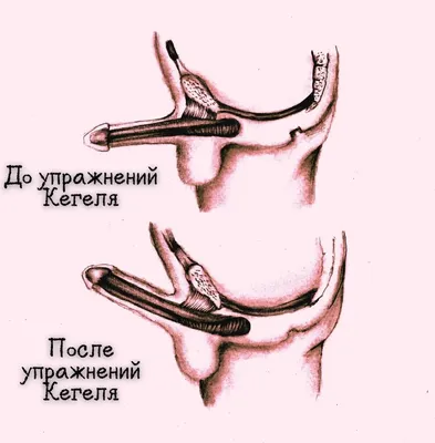 Блог - Санаторий «Кирова» официальный сайт г. Ялта