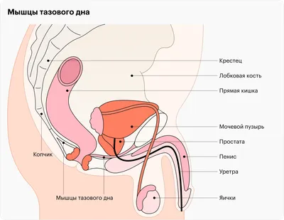 Блог - Санаторий «Кирова» официальный сайт г. Ялта