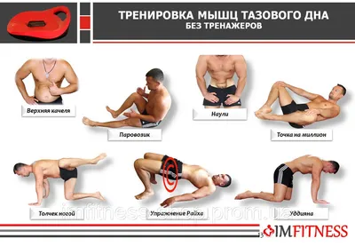 Упражнения Кегеля для мужчин, какая от них польза? — 1-Fit на vc.ru