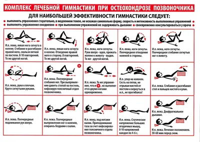 Гимнастика для поясничного отдела позвоночника - лучшие упражнения для  поясницы