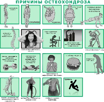 Эффективен ли аппликатор Ляпко для лечения остеохондроза? Коврики Ляпко при  остеохондрозе | медицинские товары и медтехника в магазине Ортосалон