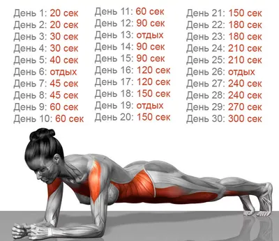 Упражнения с гантелями для женщин | FitBreak! Всё о фитнесе и бодибилдинге
