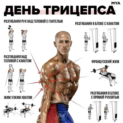 Эффективные упражнения для быстрого похудения