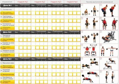 Программа тренировок в тренажёрном зале для мужчин – Онлайн-журнал Льва  Гончарова о ЗОЖ и вредных привычках.