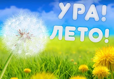 Ура - ЛЕТО!