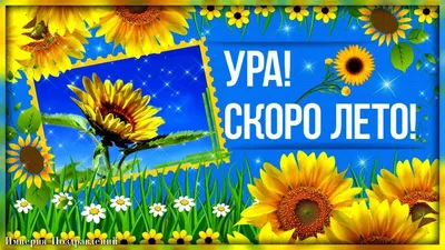 Ура лето картинки фотографии