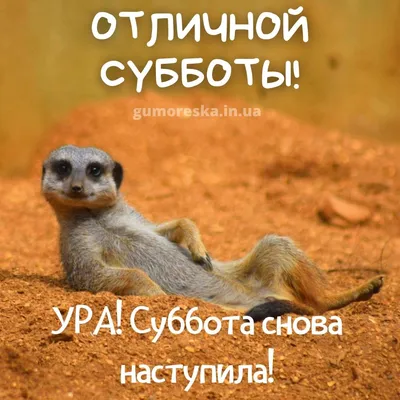 Суббота