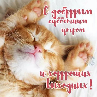 С добрым утром!#Ура! Суббота!#💞💞💞 | TikTok