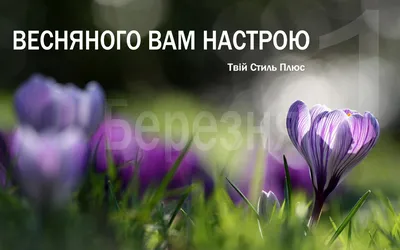 Ура! Весна! Spring! | Learn Russian With Me