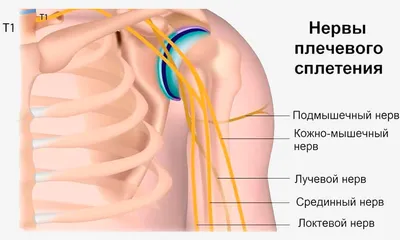 Подвывих локтевого сустава\" у детей (локоть няньки) | Пикабу