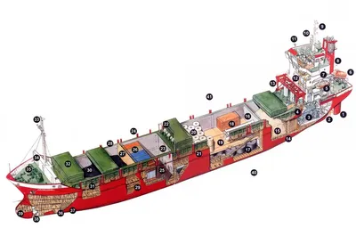 Устройство судна в картинках фотографии