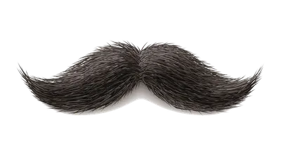 реалистичные мужские усы PNG , усы, реалистический, волосы на лице PNG  картинки и пнг PSD рисунок для бесплатной загрузки